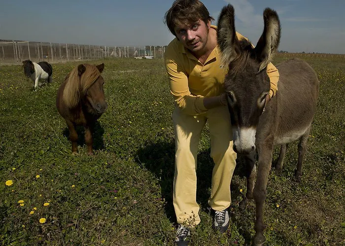 Corte Arcangeli فندق 3*