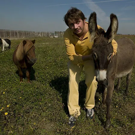 Corte Arcangeli Hotel 3*